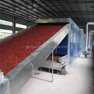 Instant Pineapple Powder Mango Powder Fruit and Vegetable Powder Processing Line thumbnail-2