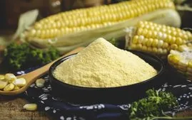 High Output Corn Starch Processing Machine thumbnail-5