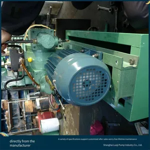 Pressure Holding Time of Plunger High-pressure Reciprocating Pump, 4gsy High-flow Pressure Test Pump, Luoji Pump Industry thumbnail-3