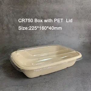 Shandong Watson Environmental Protection Packaging Technology Co., Ltd company overview - view 1 thumbnail