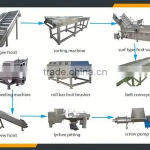 Leader Stainless Steel Longan Fruit Juice Process Line With CE & ISO thumbnail-5