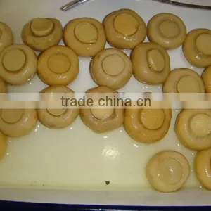Mushroom in Brine in Drum thumbnail-2