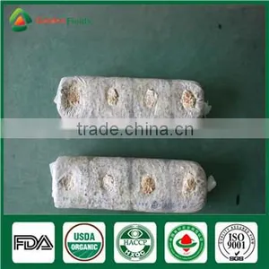 China Supplier Organic Greenhouse Fresh and Dried Shiitake Mushroom Sawdust Spore Spawn thumbnail-5