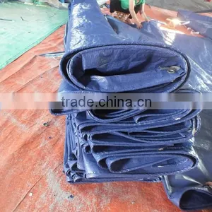 Plastic Raw Material Tarpaulin PP Sliver/blue Plastic Sheet Triangle Plastic Waterproof Anti-aging Antioxidant Factory Sell thumbnail-1