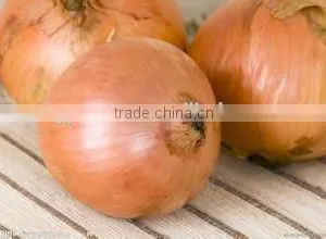 Red Onion Mesh Bags thumbnail-1