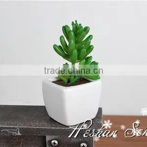 Home Decorative Artificial Mini Succulent Plant Pvc Potted Succulent Plant With Different Styles thumbnail-1