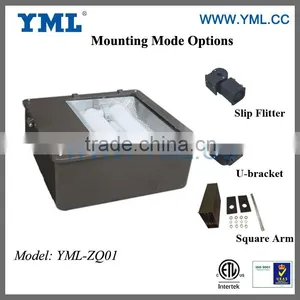 Electrodeless Discharge Lamp 120W Shoe Box thumbnail-1