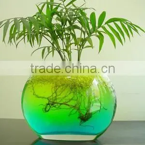 Garden Decoration Magic Water Beads for Lucky Bamboo thumbnail-2