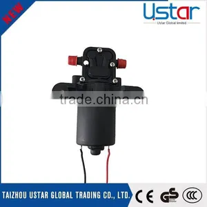 2.8-3.5Mpa Pressure Cheap 12v Agriculture Sprayer Pump thumbnail-2