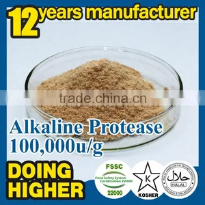 Alkaline Protease Apply to Membrane Washing Detergent Protease Alkaline Enzyme Washing Alkaline Enzyme thumbnail-1