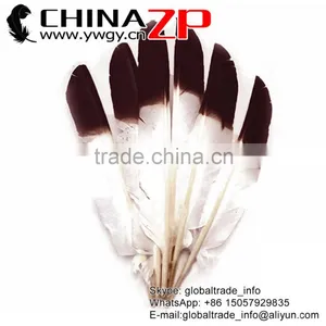 ZPDECOR Hot Selling Plumag Crafts Factory Dyed Brown Tipped Turkey Pointers Quill Large Feathers for Fashion Decorations thumbnail-1