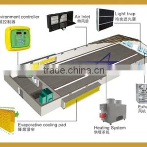 Automatic Poultry Climate Control for Chicken Farm thumbnail-1