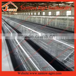 Battery Pullet Rearing Cage Poultry Equipment thumbnail-2