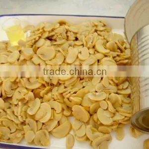 Chinese High Quality Wholesale Canned Mushroom Pieces and Stems thumbnail-5