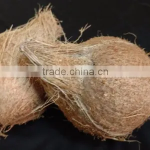 Fresh Farm Supply Coconut for Cooking thumbnail-1
