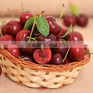 Cherry Seedling thumbnail-2