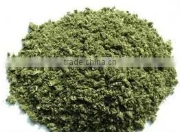 GMP Natural High Quality Damiana Extract/Damiana Leaf Extract/Damiana Leaf Extract Powder thumbnail-2