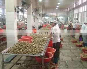 Xiamen Hanfeng Co., Ltd. company overview - view 1 thumbnail