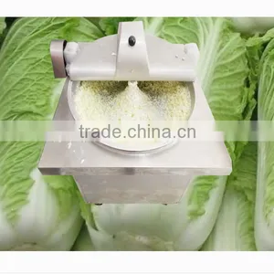 Easy Operation Fruit and Vegetable Grinding Machine thumbnail-1