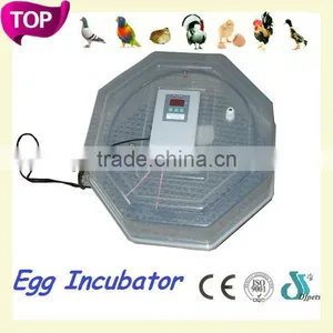 DFPets DFI001 Promotion Eggs Incubating Equipment thumbnail-1