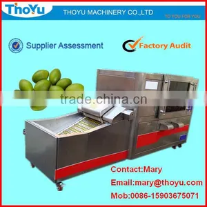 Newly Advanced High Pitting Rate Automatic Olive Pitter(SMS: 0086-15903675071) thumbnail-1