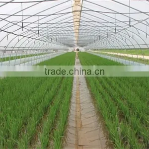 New Type Of Tunnel Greenhouse For Vegetables thumbnail-1