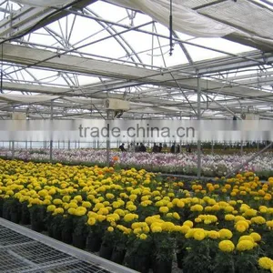 Flower Greenhouse thumbnail-4