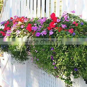 Garden Pots Planters Window and Belcony Green thumbnail-1