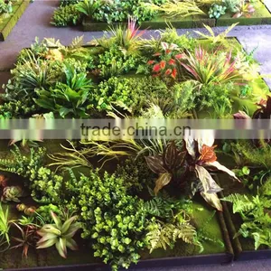 Home Garden Wedding Decoration 200cm*100cm Green Original Succulent With Moss Carpet Grass Wall E03 0506 thumbnail-2