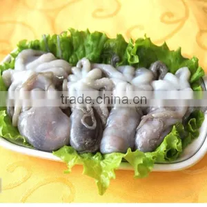 Frozen HACCP ISO FDA Baby Octopus thumbnail-1