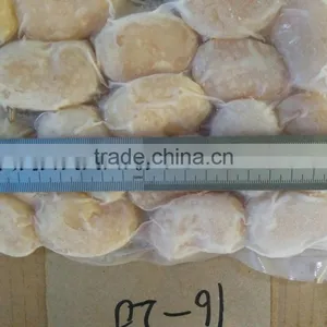 Frozen Vacuum Packing Fresh Scallop in Good Quality thumbnail-1