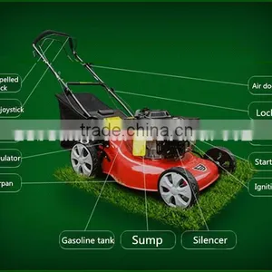 Hot Sale Large 50L Hand Push Ride on Mower thumbnail-2