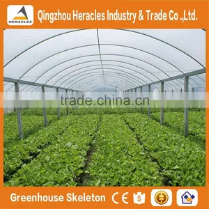 Heracles Trade Assurance Commercial Hydroponics Greenhouse thumbnail-2