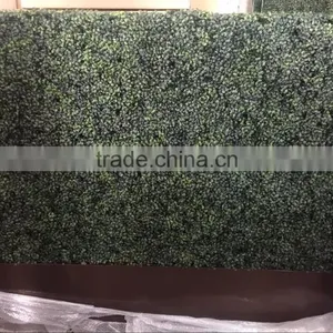 Real Touch Artificial Mangosteen Lawn thumbnail-5