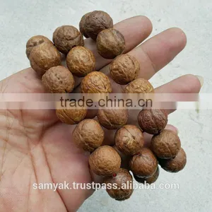 Buddha Chitta 14 Beads Bodhi Seed Genuine Indonesian Phoenix Eye Mala Phrengba thumbnail-5
