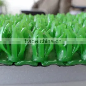 pe Garden Grass thumbnail-2