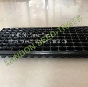 128 Cell Seedling Tray thumbnail-1