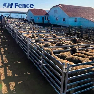 Privacy & Windbreak Sheep Panel: Solid Visual Barrier Reduces Flock Stress & Blocks Wind for Better Shelter thumbnail-1