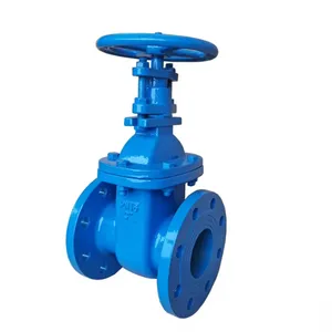 ANSI GB DIN JIS Gate Valve Z41X-16Q/10Q PN10 PN16 DN50 DN100 Soft Seal Hard Seal Gate Valve Rising Stem thumbnail-5