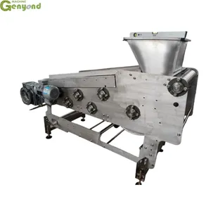 Genyond Cold Press Mango Juicer Belt Juice Extractor Machinery thumbnail-1