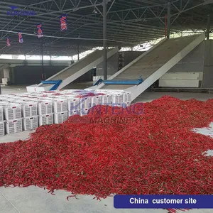 Large Industrial Red Chili Dehydrator Drying Vegetable Machine Fruit and Vegetable Drying Machine thumbnail-5