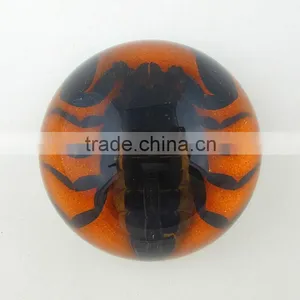 2016New Design Wholesale Paperweight With Real Insect thumbnail-6