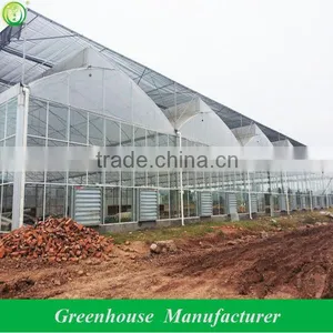 Galvanized Multi-span Decorative Greenhouse thumbnail-1