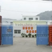 West Plastic Toy Company Limited Chenghai Shantou City company overview - view 1 thumbnail
