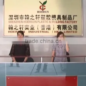 Shenzhen Hoersun Plastics & Molding Factory company overview - view 1 thumbnail