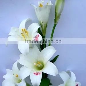 RGB White Lily Flower Printer thumbnail-2