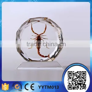 Clear Transparent Lucid Resin Gift Craft Manufaturer Supplier thumbnail-5