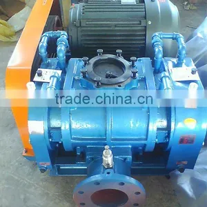 Side Channel Roots Blower thumbnail-1