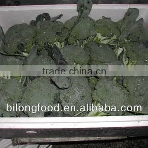 Chinese Fresh Broccoli (11-13cm ) From New Farm thumbnail-6