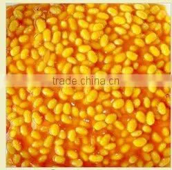 Canned Soybean/ Canned Baked Bean in Tomato Sauce thumbnail-1